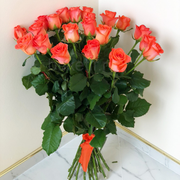 21 коралловая роза, лента в Мысхако